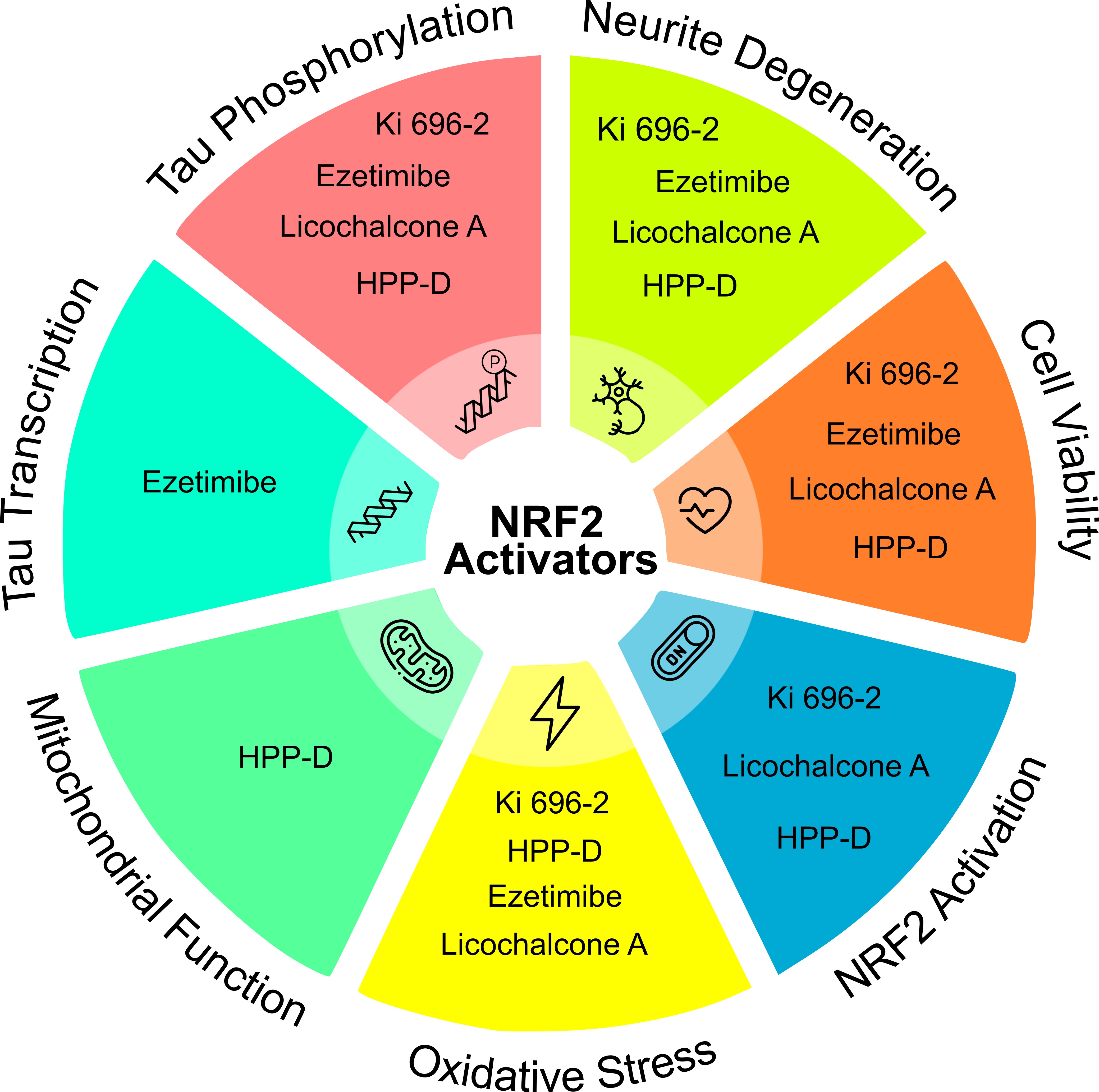Nrf1.Nrf2セット Amazon.com: NRF1 & NRF2 Supplement 1500mg | Dual Activator with